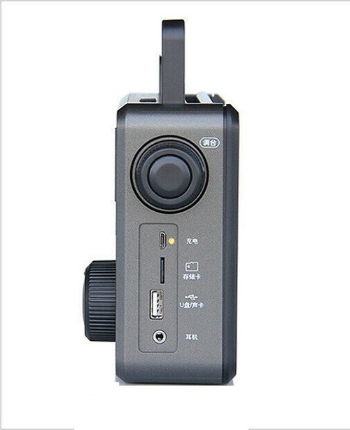 Radio Tecsun RP-307