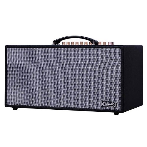 Loa di động Acnos HN450