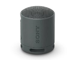 Loa Bluetooth Sony SRS-XB100