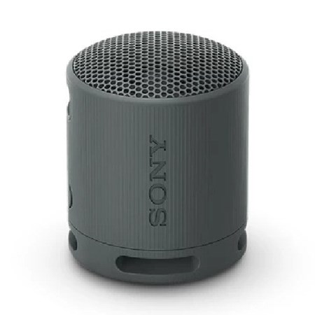 Loa Bluetooth Sony SRS-XB100